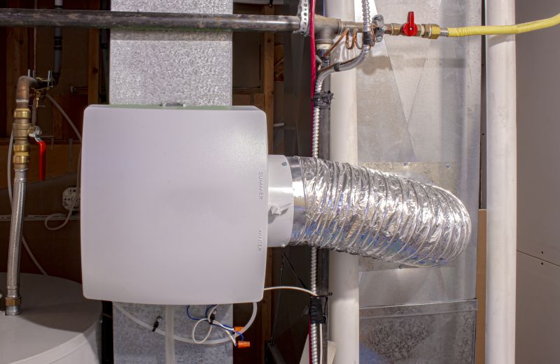 Basement Dehumidifier Service in Naples, FL